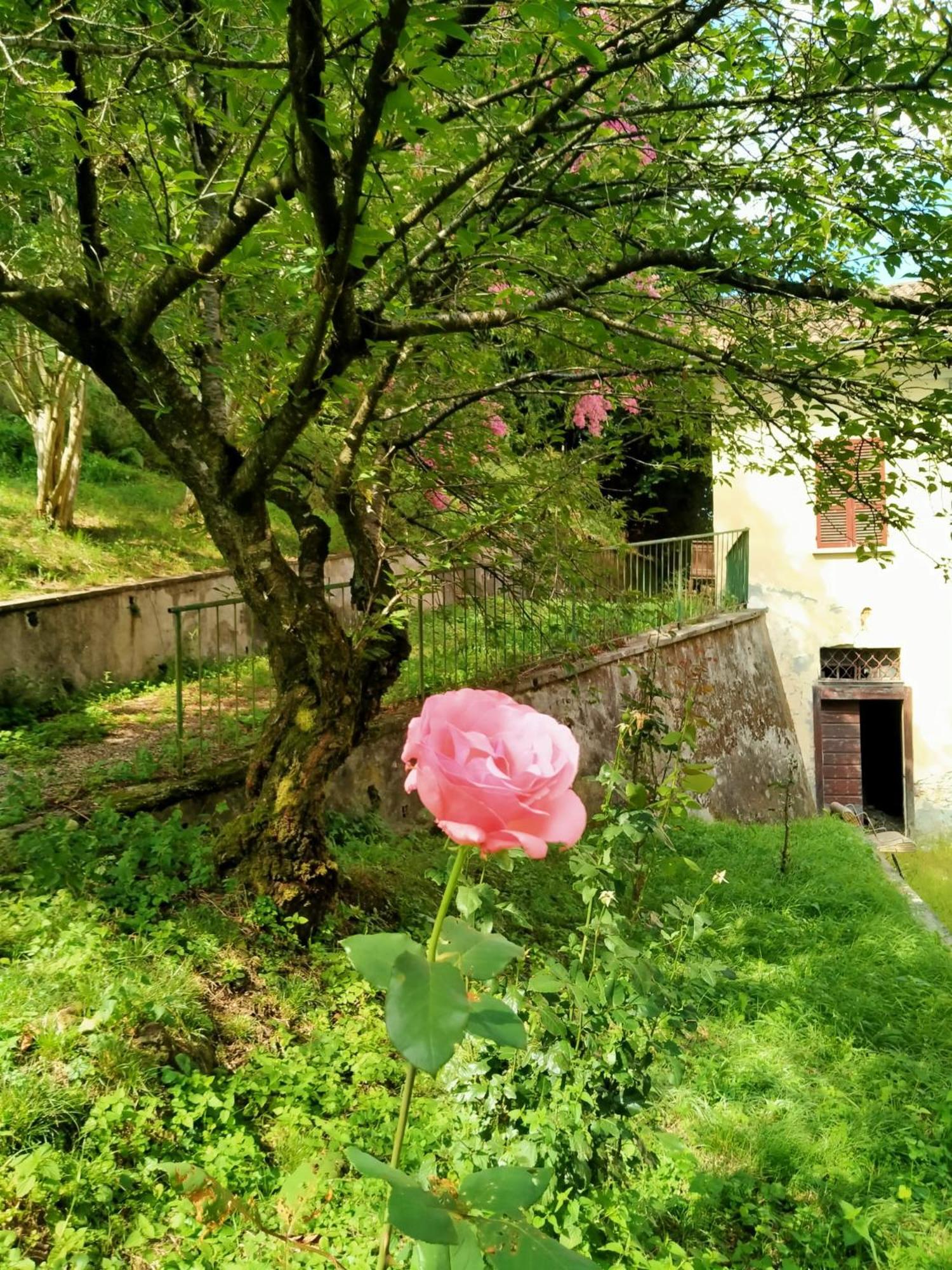 Bed and Breakfast Casa Valduggia Экстерьер фото